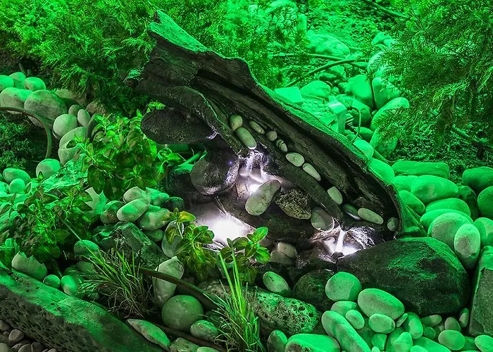 Hotel Jbh Sveti Vlas